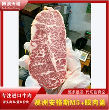 澳洲558厂安格斯M5眼肉盖 谷饲300天 西餐烤肉食材 冷冻牛肉批发