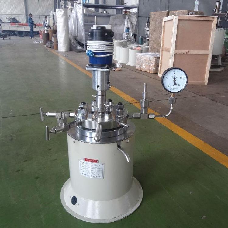 厂家直供小型不锈钢高压釜实验室用小型高温高压反应釜搅拌高压釜