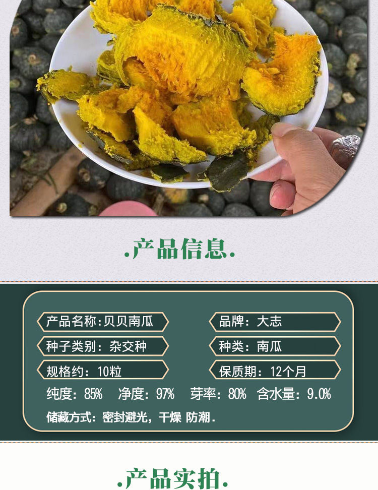 贝贝南瓜种子 农田菜园基地早熟蔓生型肉鲜黄甜面粉糯南瓜蔬菜籽