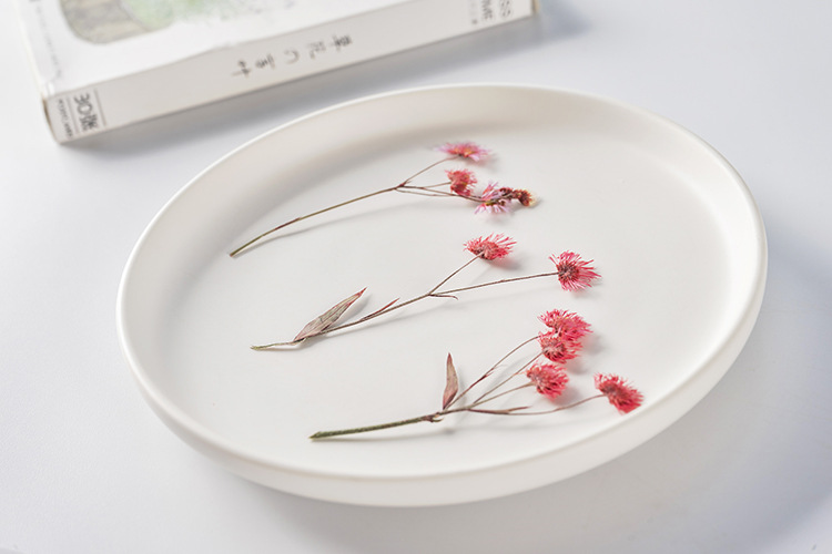 一年蓬带枝 押花压花植物标本滴胶手机壳diy材料压花干花真花