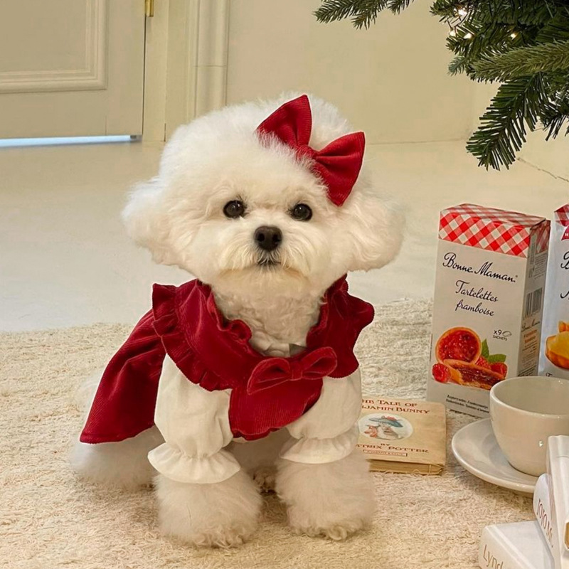 Puppy Dog Christmas Princess Skirt Autumn and Winter Teddy Bichon Pomeranian Small Dog Pet Cat Clothes Winter