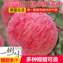 【精选】陕西洛川红富士苹果脆甜多汁5/10斤装整箱新鲜礼盒装