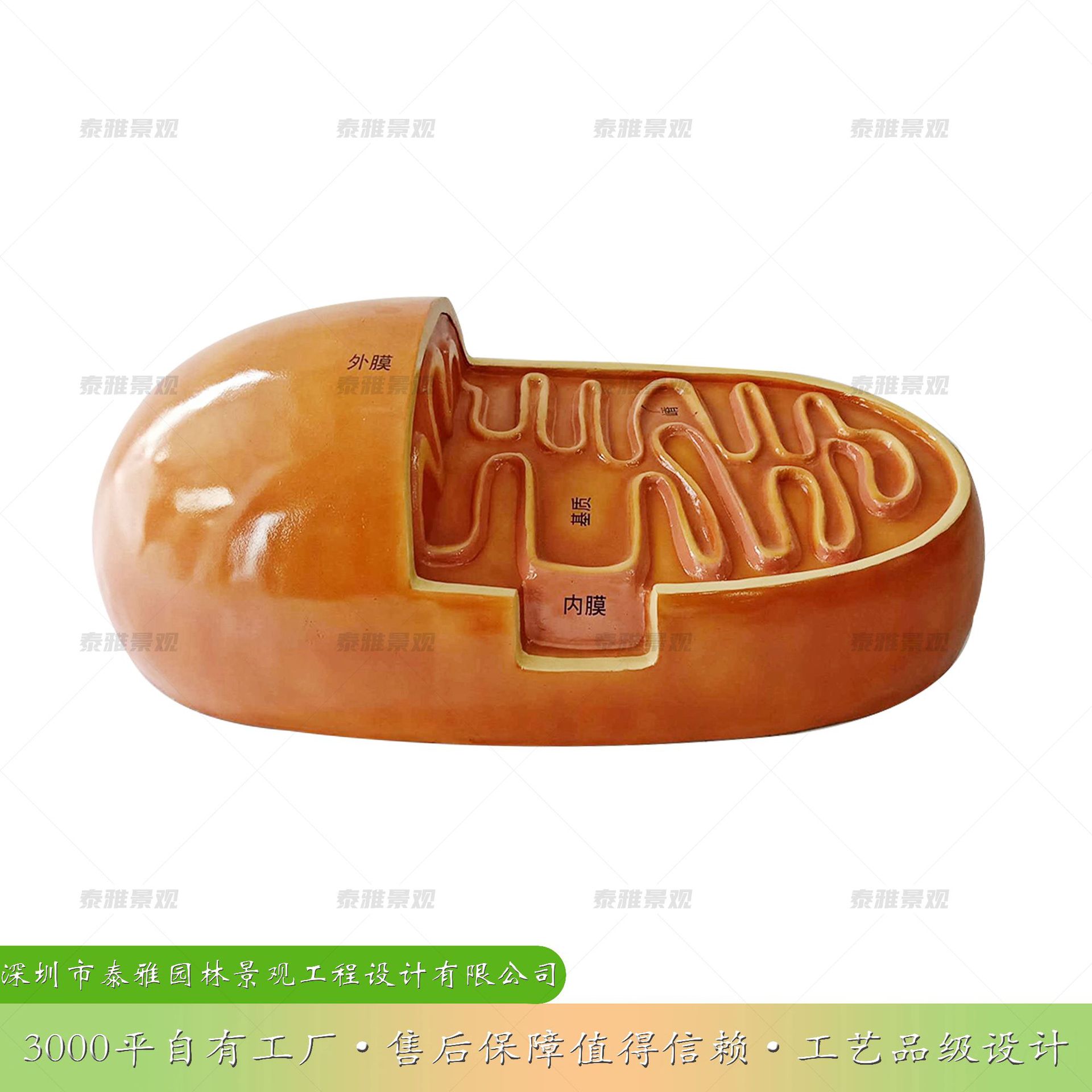 泰雅高分子复合材料线粒体结构模型雕塑生物园学校实验室科普研学