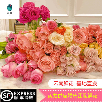 玫瑰花鲜花批发云南昆明鲜花直批真花母亲节鲜花一起来摆摊吧婚庆