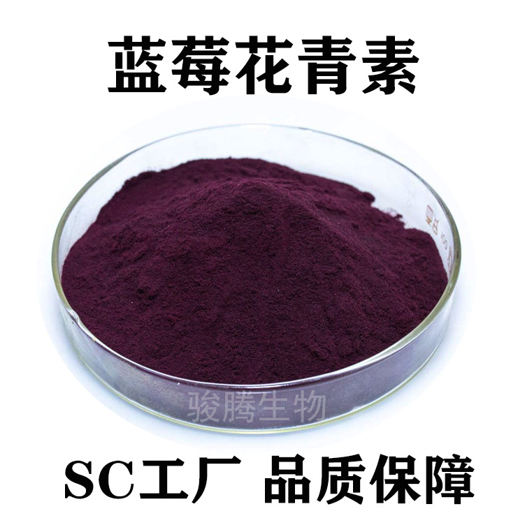 蓝莓提取物花青素25蓝莓花色苷ep花色甙蓝莓花青素