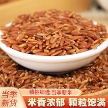 红米5斤新货 农家自产红糙米红硬米红稻米胚芽大米五谷杂粮粗粮