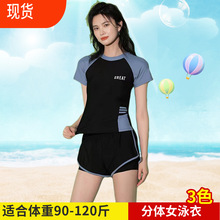新款爆款游泳衣女分体运动风遮肚显瘦平角裤沙滩温泉少女泳装