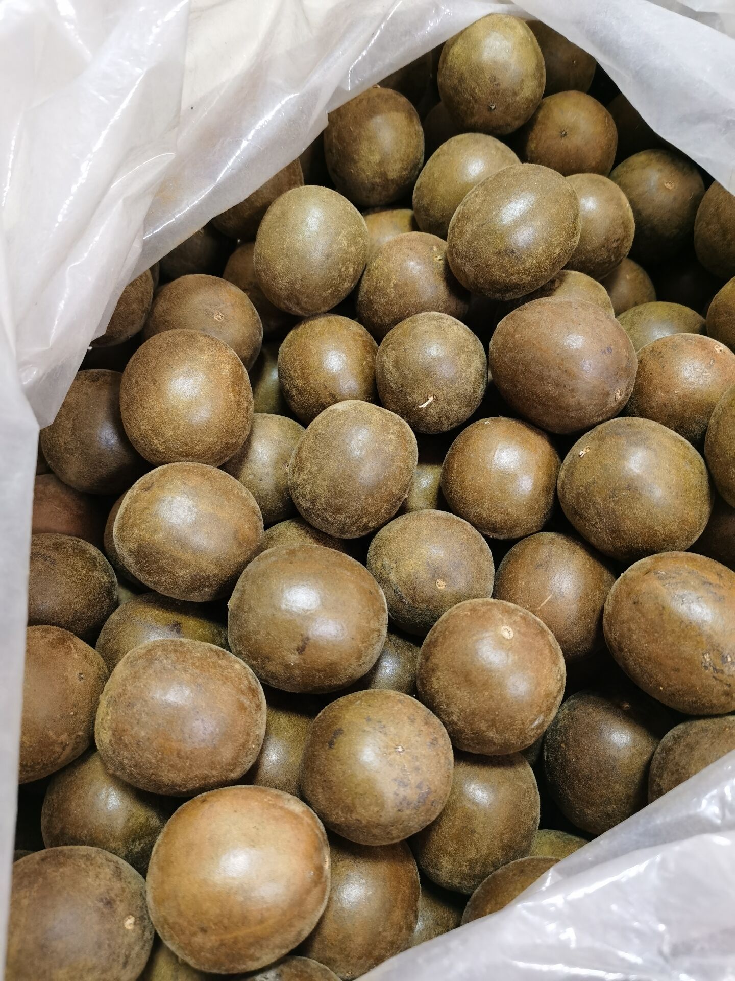 罗汉果批发 广西桂林特产永福 花茶罗汉果 小果一箱1200个