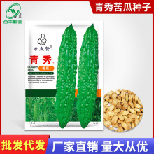 青皮绿苦瓜种子特大凉瓜癞瓜癞葡萄苦菜阳台盆栽易种蔬菜种子公司