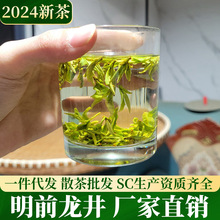 2024新茶上市明前龙井茶叶散装绿茶批发全芽春茶豆香茶厂直销货源