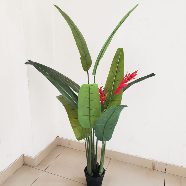 仿真垂鸟 火鹤蕉 摆放装饰绿植垂花蝎尾蕉金嘴鹤蕉 装饰绿植