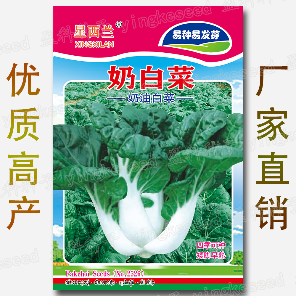 约800粒奶白菜种籽 四季易种易发芽奶油白菜矮脚早熟蔬菜种子批发