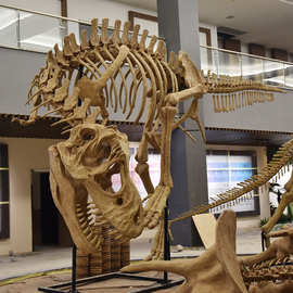 大型仿真恐龙化石骨架霸王龙头骨骨骼摆件模型博物馆展览科普道具