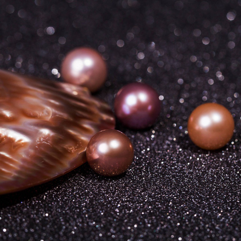 珠小明淡水爱迪生珍珠蚌 开蚌取珍珠 淡水有核养殖珍珠  鲜活河蚌