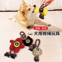 犬用熊本熊毛绒造型彩绳系列玩具宠物磨牙耐咬发声玩具厂家批发