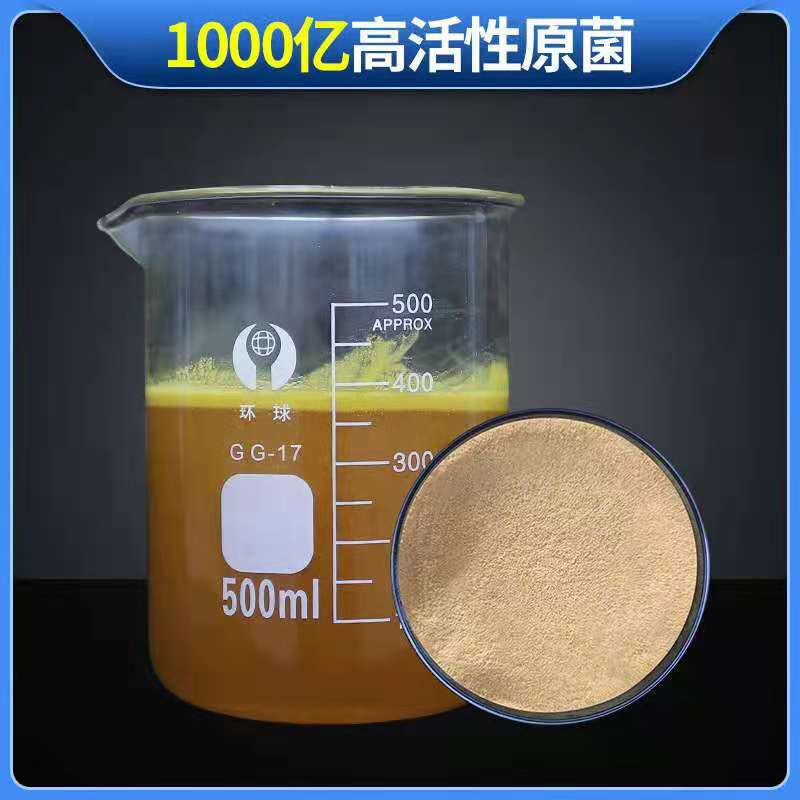 源头厂家1000亿枯草芽孢杆菌水产饲料农用微生物菌剂枯草芽孢杆菌