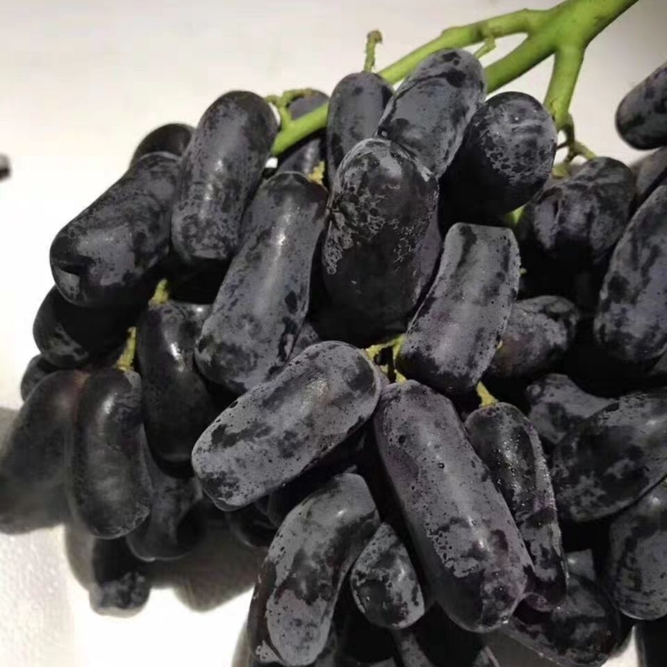 带箱4斤蓝宝石金手指葡萄水果新鲜无籽无核黑提黑美人指大果提子