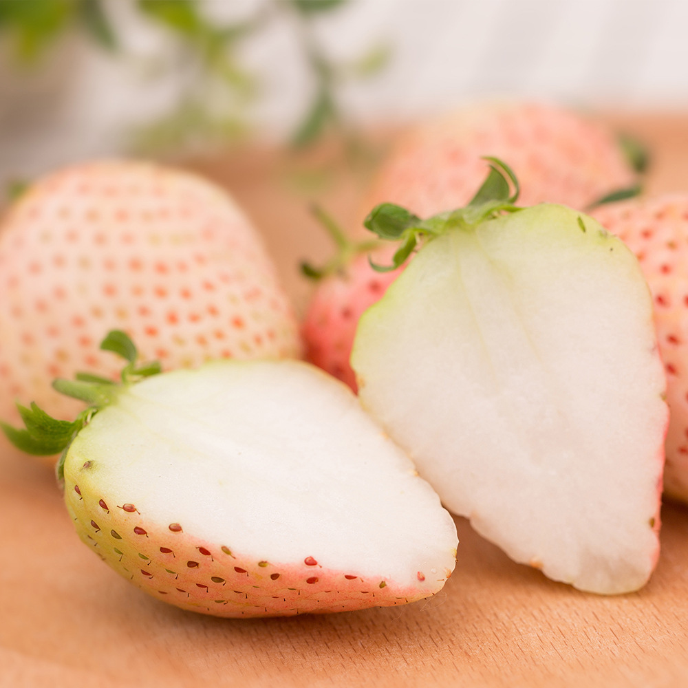 淡雪白草莓礼盒牛奶奶油新鲜孕妇当季水果非日本进口淡雪草莓白色