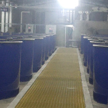 工业化水产养殖设备室内水产养殖技术 加州鲈水产养殖 高密度鲈鱼