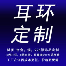 义乌市饰品工厂耳环耳钉耳夹定制铜合金微镶锆石满钻外贸饰品批发