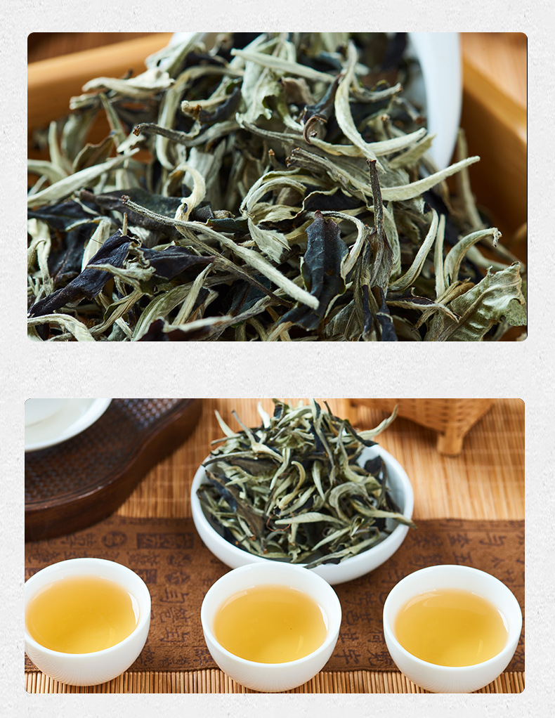 云南产地直供2022白茶月光白景谷月光白茶普洱白茶景白芽批发现货