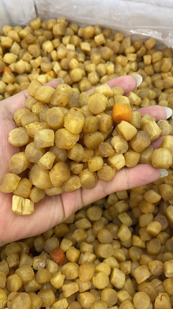 大连瑶柱干贝大粒淡干大元贝煲汤鲜元贝大扇贝海鲜干货批发