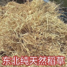 新稻草天然宠物鸡窝草干稻草牛羊猪饲料狗鸭窝草道具谷草秸秆