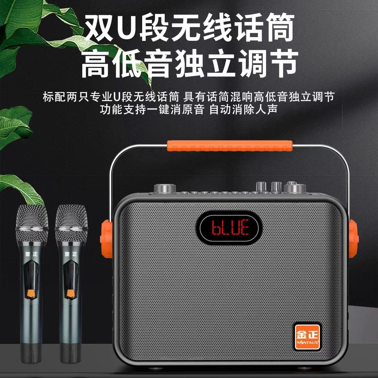 金正s62广场舞音响蓝牙户外音箱大音量k歌手提便携式双话筒ktv