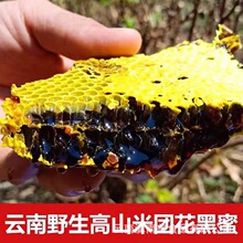 云南黑蜂蜜500g罐装 高山成熟百花蜜 米团花蜜 土特产 批发价蜂蜜