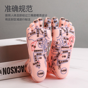 足部穴位模型高清足底穴位反射区按摩器足疗点穴棒脚推拿保健养生