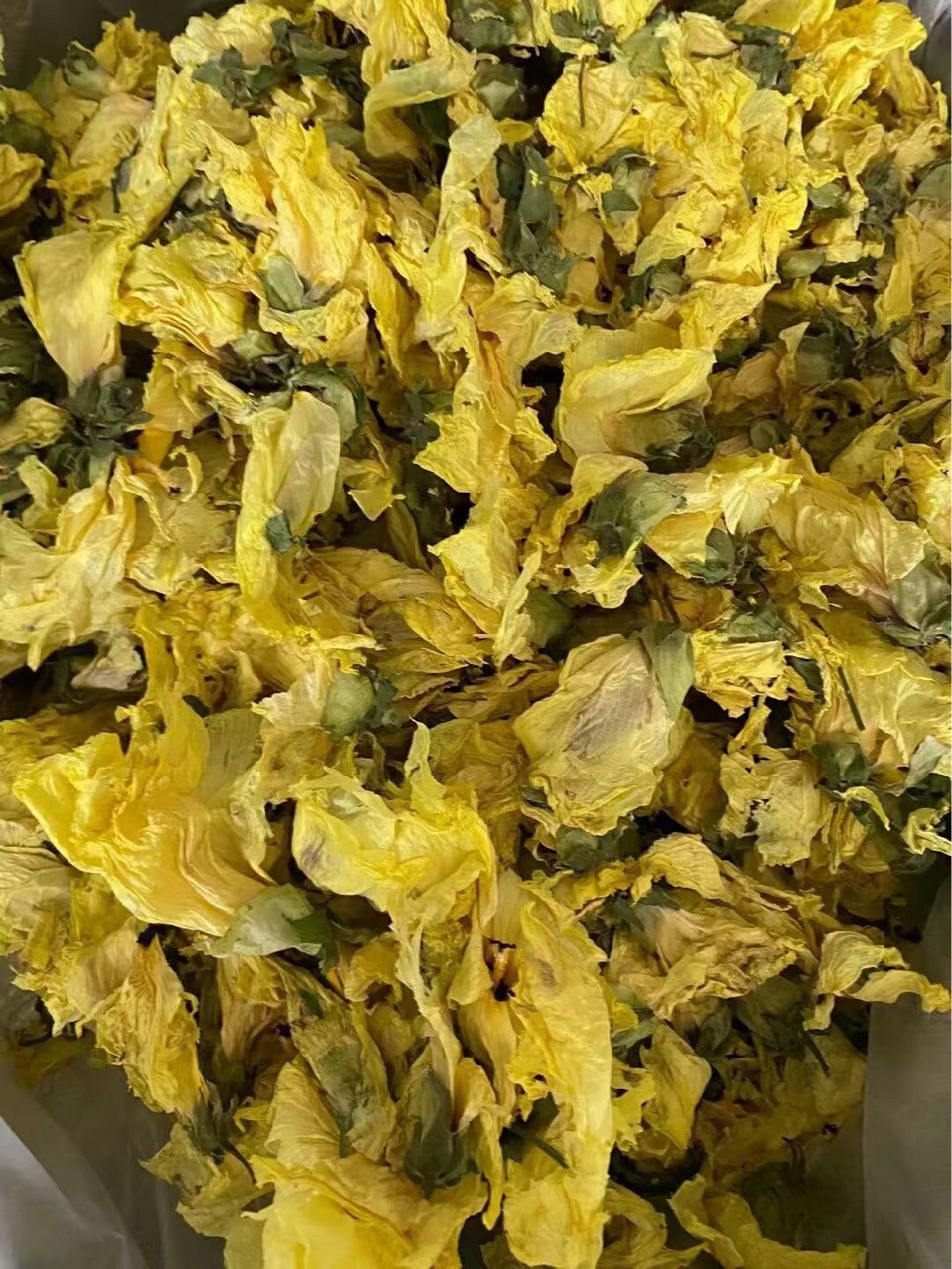 批发黄蜀葵花秋葵棉花葵野芙蓉黄花莲鸡爪莲代嚰粉