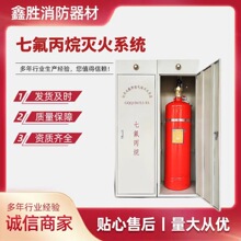 七氟丙烷柜式气体灭火装置 机房配电室消防器材灭火设备生产批发