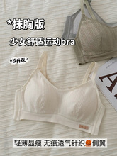 布里奶酪 运动内衣女聚拢小胸薄款大胸显小防下垂收副乳少女文胸