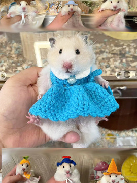 仓鼠小衣服冬天蜜袋鼯荷兰猪金丝熊头套帽子可爱小宠服饰外出