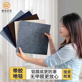 办公室地毯带胶写字楼满铺酒店会议室工程商用方块拼接家用地毯