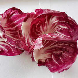 红球紫甘蓝 蔬菜沙拉凉拌菜 包菜卷心菜红心椰菜 圆白菜一件代发