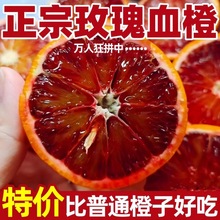 血橙塔罗科甜新鲜果冻橙子薄皮红橙长寿湖血脐橙当季孕妇手剥橙