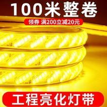 220v户外灯带led超亮防水养殖外墙专用工程室外暖带灯条三色灯带