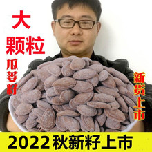 2022新货瓜蒌籽小陈家奶油椒盐瓜篓子零食非吊瓜子天柱山特产