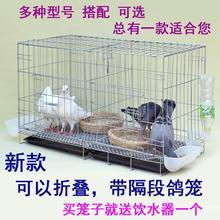 鸽子养殖笼加粗鸽子笼鸡笼兔笼猫鸭笼养殖配对大号繁殖鸽包邮家用