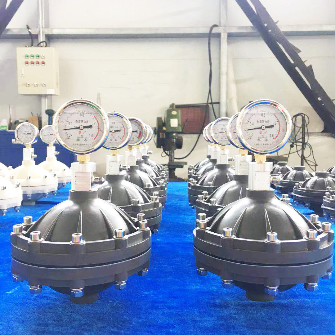 pvdf脉冲阻尼器 膜片式脉冲阻尼器 空气式缓冲罐均流器