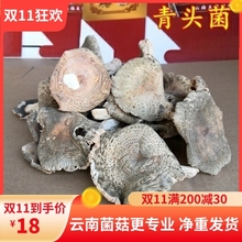 青头菌干货 云南山珍宁蒗野生菌的好货青头菌100克食用农产品
