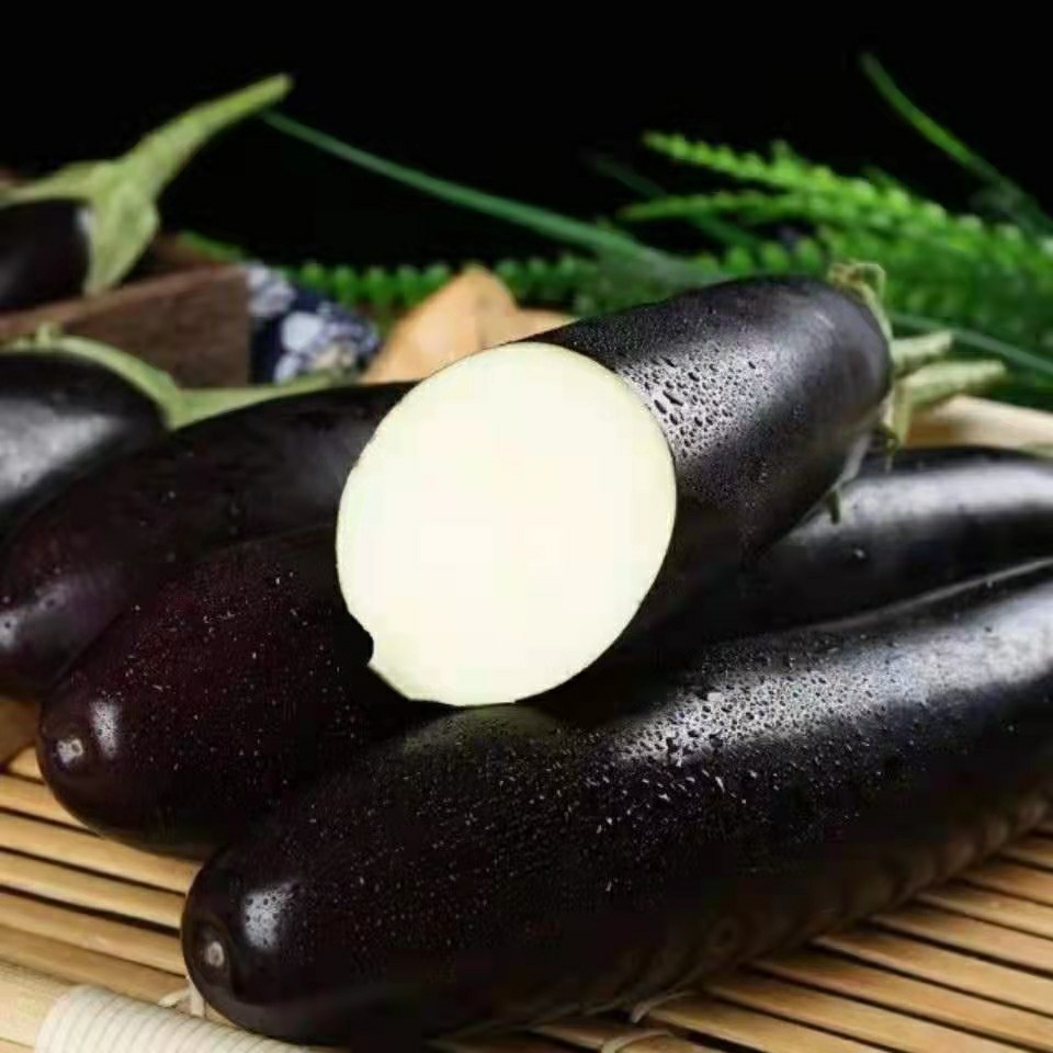 山东新鲜长茄子5斤长线大茄子当季紫茄子农家自种3现摘蔬菜10