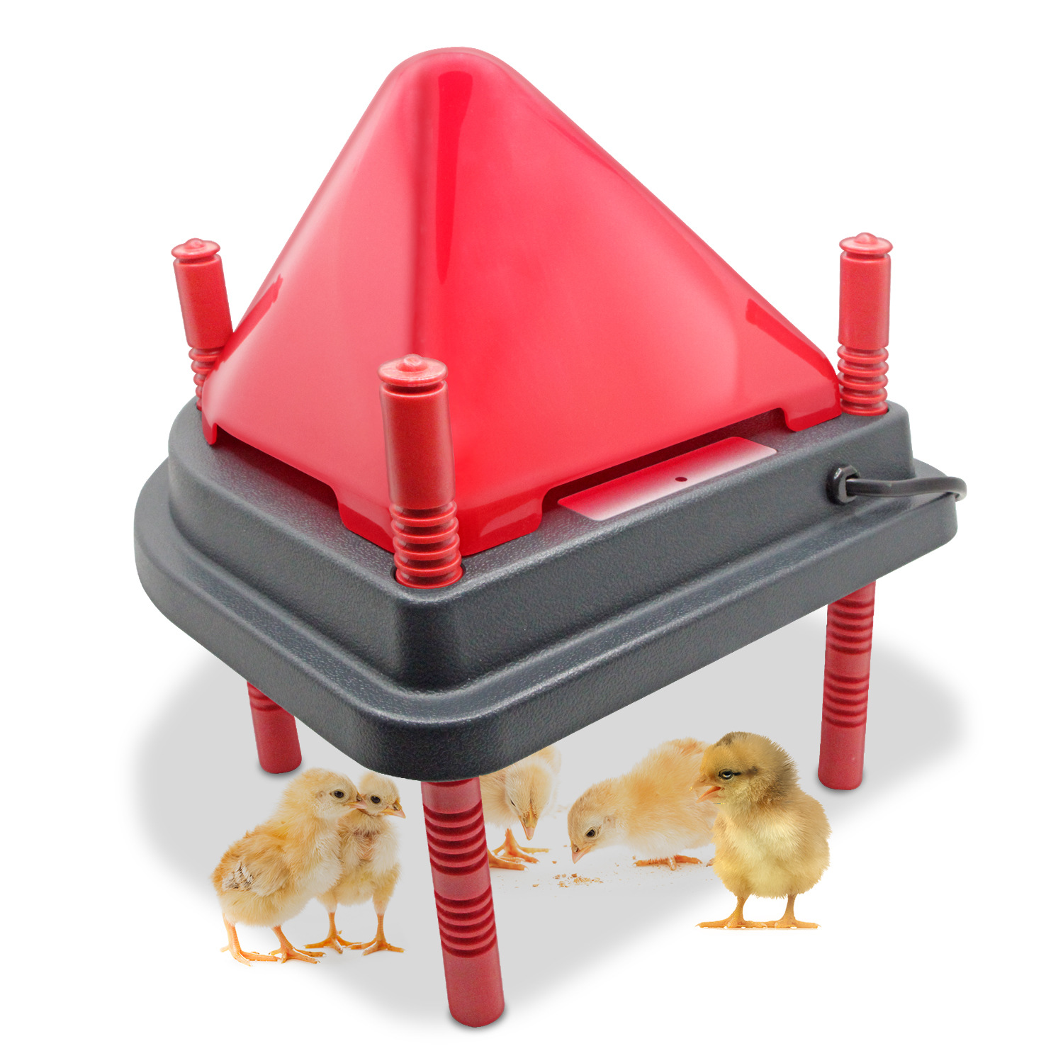 Amazon New Chicken Warmer China, America and Europe Copyright Product Chicken Heating Plate