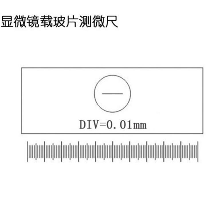 美佳朗 c1载玻片式测量尺目镜物镜c1标尺 1div=0.01mm 显微镜测量