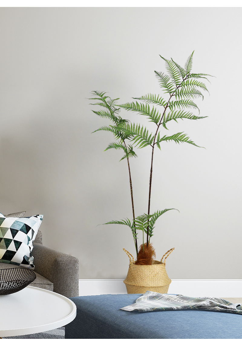 工厂批发仿真金丝蕨植物蕨树仿生蕨草盆栽假绿植仿真 长毛猴头厥