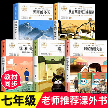 全套5册国一课外书必读济南的冬天从百草园到三味书屋说和做散文