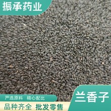 大货批发散装广西大颗粒 兰香子 明列子 罗勒籽 量大从优干净无杂