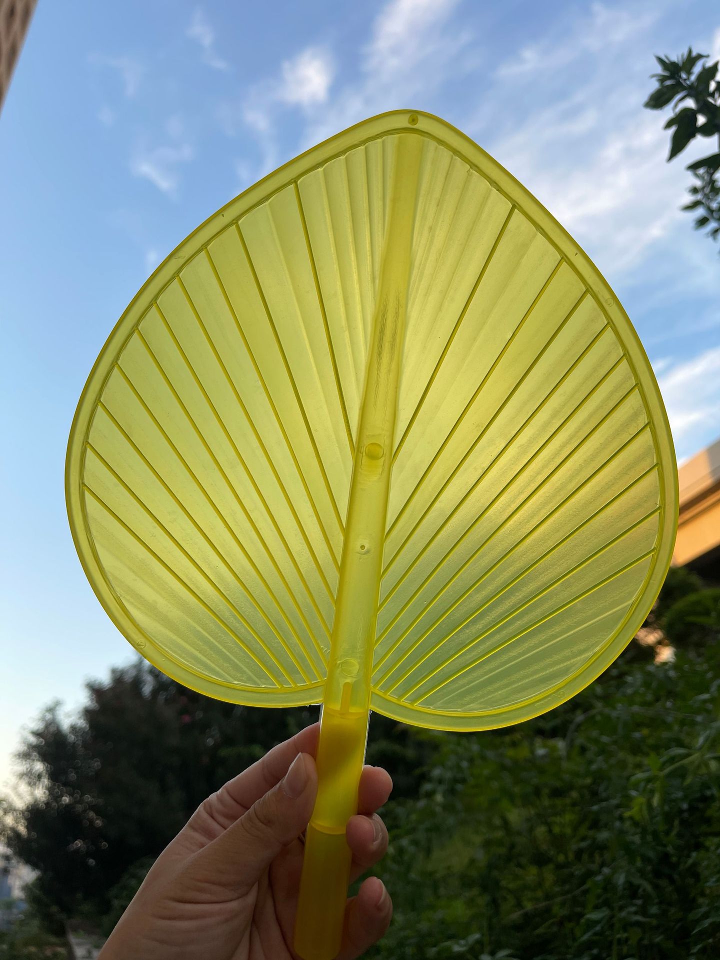 新款塑料扇子手摇蒲扇芭蕉扇葵扇家用老式扇子国风小扇子厂家批发