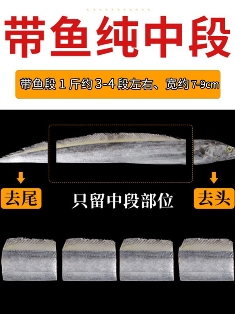 海鱼带鱼段新鲜冷冻四指特宽特大带鱼段中段国产深海海鲜海捕刀鱼